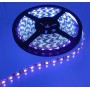 Oem, UV Ultraviolet 12V Led Strip 60LED IP65 SMD3528, LED Strips, AL308-CB