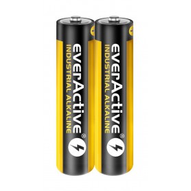 EverActive, 40x-Pack everActive Industrial LR03 / AAA / R03 1.5V 1100mAh alkaline battery, Size AAA, BL350