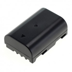 OTB, Battery for Panasonic DMW-BLF19E 1600mAh ON2765, , ON2765