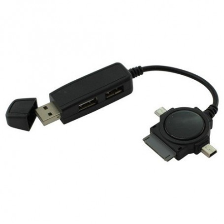 dual usb to mini usb cable